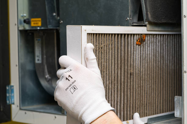 Best Professional Duct Cleaning Services  in Carrollton, GA