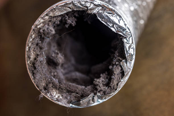 Best Air Vent Cleaning Services  in Carrollton, GA